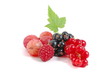 Beeren obst