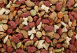 Dog food