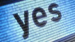 Video: "Yes" on screen. Looping. "Yes" on screen. Looping.
