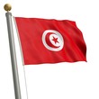 Die Flagge von Tunesien flattert am Fahnenmast