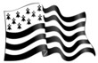 Vektor: drapeau breizh drapeau breizh