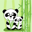 Vector panda