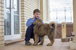 Boy and puppy Tibetan Mastiff