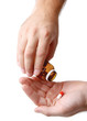 Pills in Hands