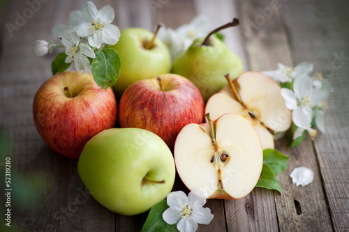 Photo: Harvest time, apples Harvest time, apples