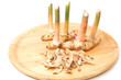 Galangal  root ,fresh and dried herb and spice
