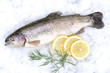 Photo: Fresh trout on ice Fresh trout on ice