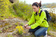 Woman hiker  taking photographs of wild flowers