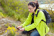 Woman hiker  taking photographs of wild flowers