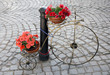 Decorative bicycle