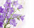Bouquet of hand bells