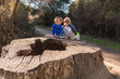 Rancho San Antonio Hike