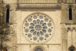 cathédrale de chartres