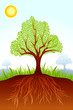 vector illustration of tree with root and sun in backdrop