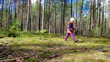 Vídeo: small girl on pine forest small girl on pine forest