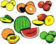 fruits - lemon, orange, apple, avocado