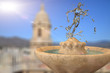 Fuente con hombre de agua