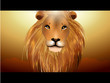 African Lion