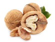 Dried walnuts.