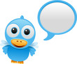 bluebird talking