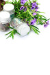 Mint Bush and small bottle