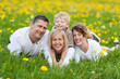 lachende familie liegt im gras
