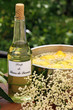 Foto: sureau, sirop de fleurs sureau, sirop de fleurs