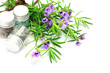 Mint Bush and small bottle