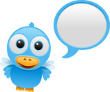 bluebird talking