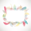 Vector: feather background feather background