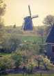 spring in country side