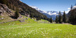 Valmalenco - Chiareggio (IT)