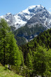 Summer Stelvio Pass (Italy)