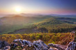 Forest mountain sunset