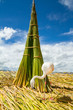 White Flamingo on the islands of Uros Peru