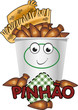 Pinhão festa Junina