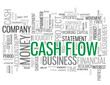 CASH FLOW Tag Cloud (statement finance business liquidity money)