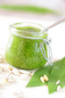Frisches Pesto aus Bärlauch