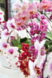 Orchids and other flowers