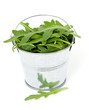 fresh rucola