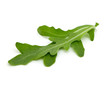 fresh rucola