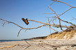 Foto: Strandgut Schuh Strandgut Schuh