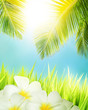 Tropical concept. Vertical composition.
