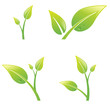 Green Sprout Leaf Set