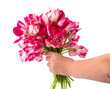 bouquet of tulips