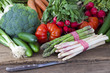 Weißer und grüner Spargel