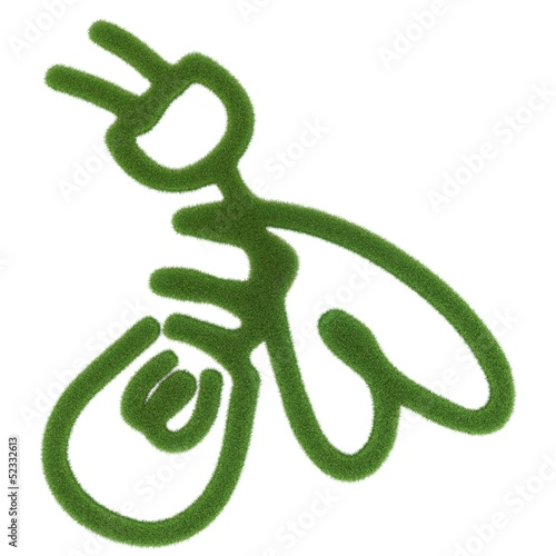 Illustration: Feuerfliege: Licht und Energie Feuerfliege: Licht und Energie