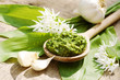 Bärlauch-Pesto mit Bärlauchblättern und -blüten