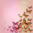 Colorful vintage summer background with butterfly. Grunge paper