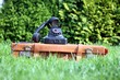 Hörer von antikem Telefon ist abgenommen Koffer